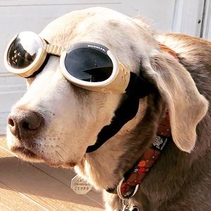 Meet your Posher, Patti